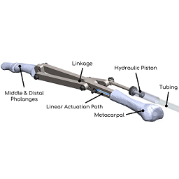 finger_prothesis.md